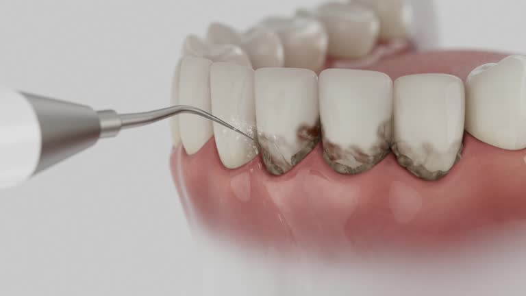 Reliable Dental contractor in Nicholas County County, WV by Dentist Open Now
